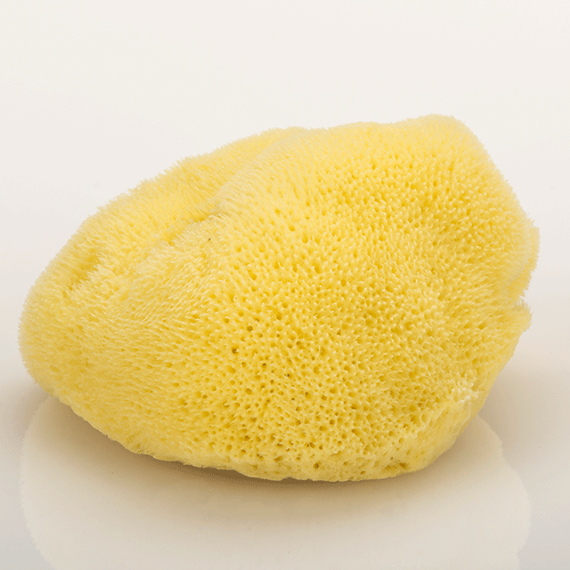 Naturschwamm "fine silk", ca. 12 - 14 cm