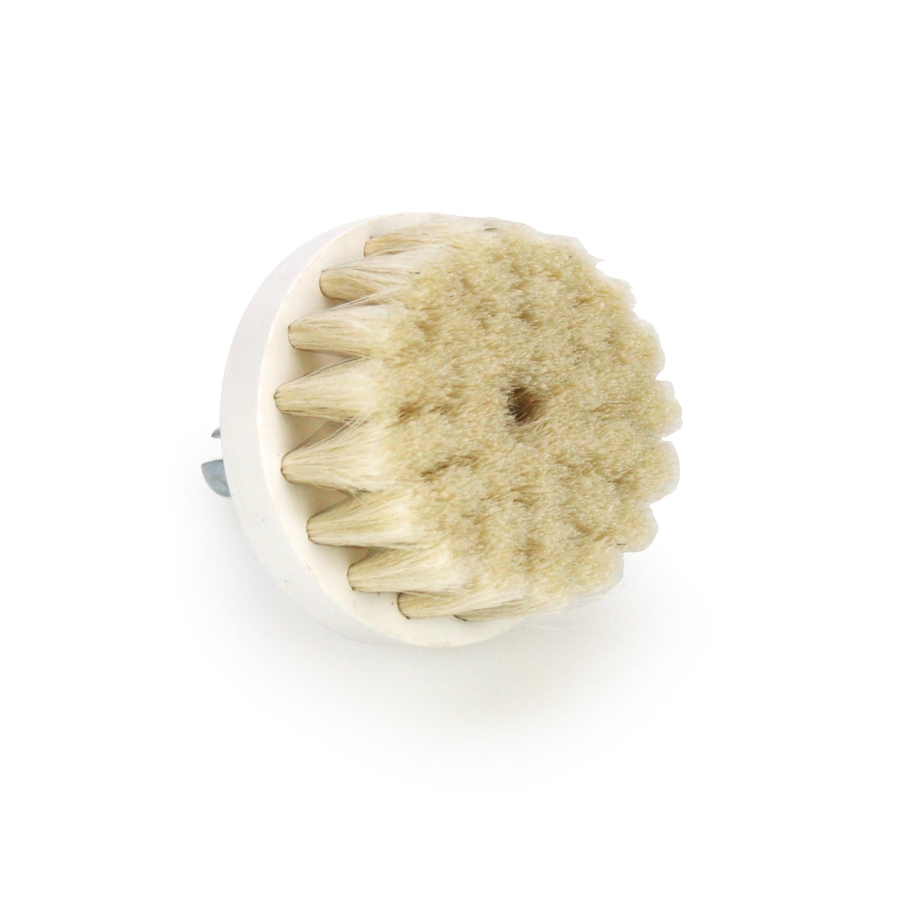 Bürste aus Schweinsborsten zu ROTARY BRUSH 4,5 cm