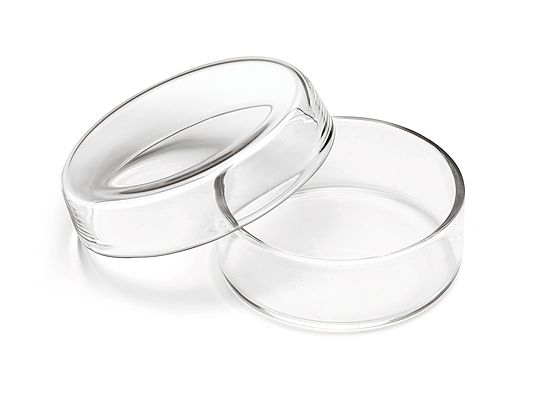 Petri-Schale 60 mm Ø, ca. 23 mm hoch