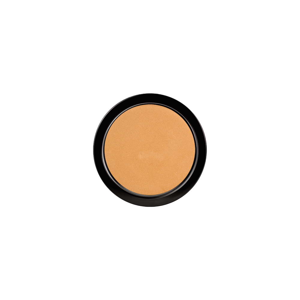 PAESE Illuminating Covering Powder 9 g natural