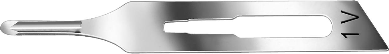 Hohlmeißelklingen, Carbon-Stahl, Fig. 1V, 20 Stück