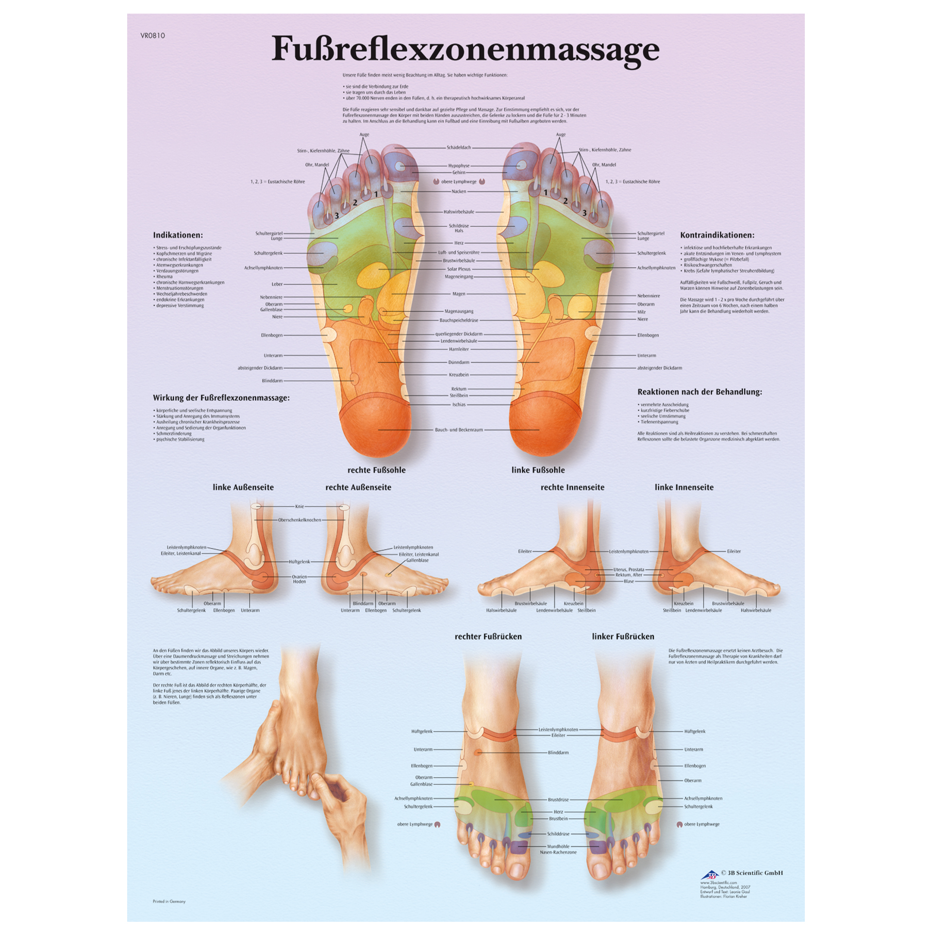 Lehrtafel "Fußreflexzonenmassage"