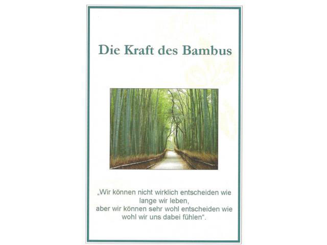 Die Kraft des Bambus - Broschüre