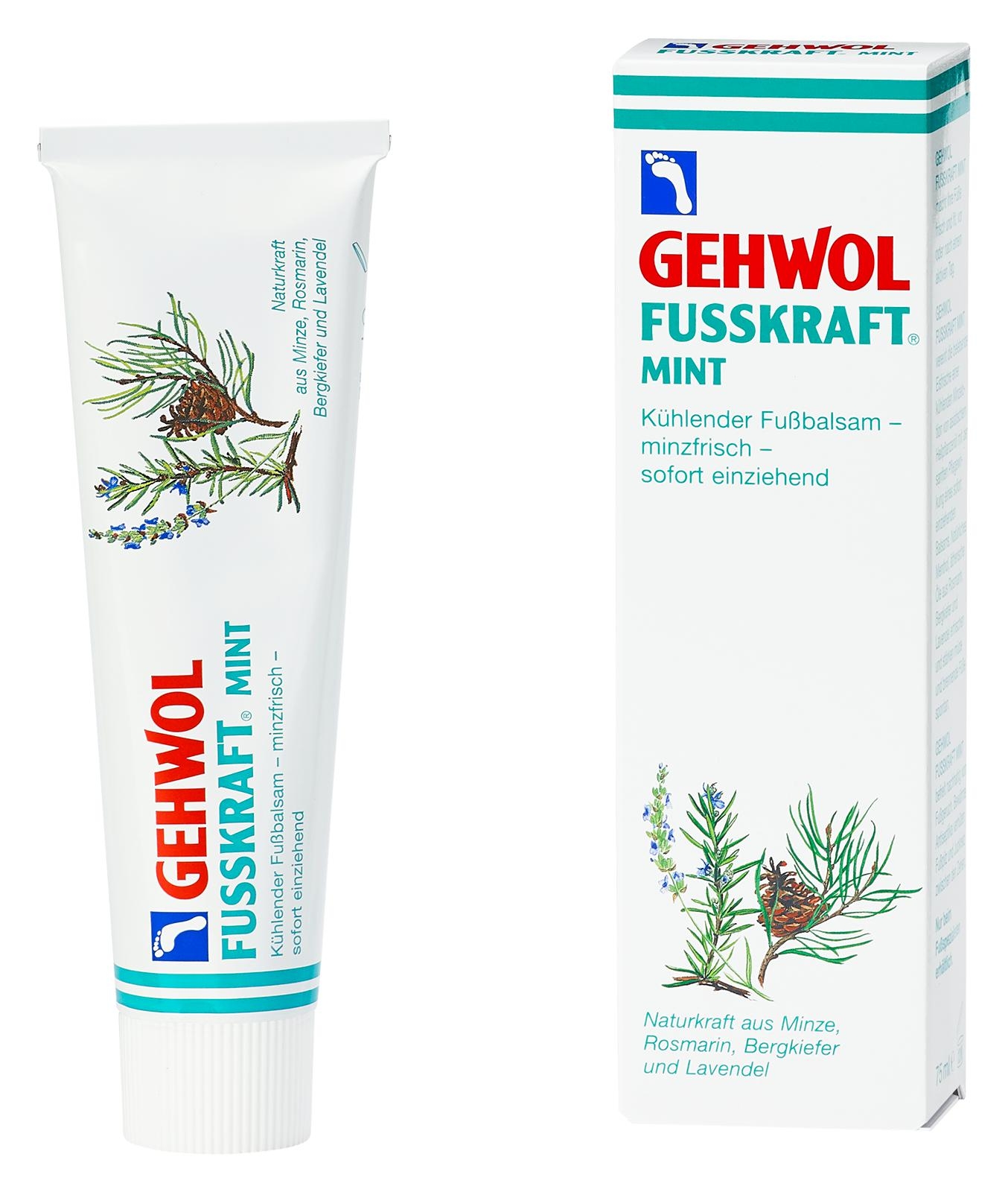 GEHWOL FUSSKRAFT MINT | 6x 75 ml (450 ml)