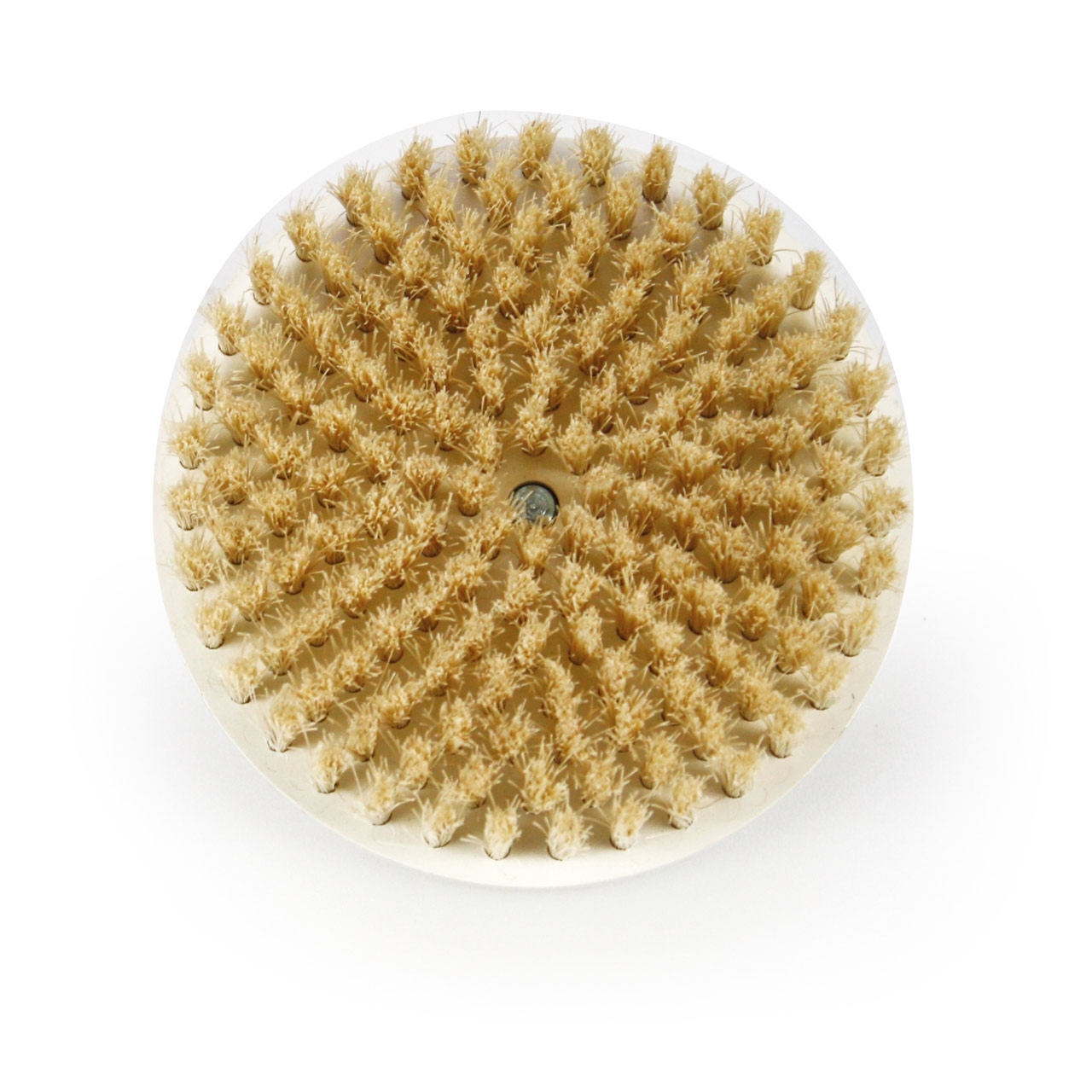 Bürste aus Schweinsborsten zu ROTARY BRUSH 9,0 cm