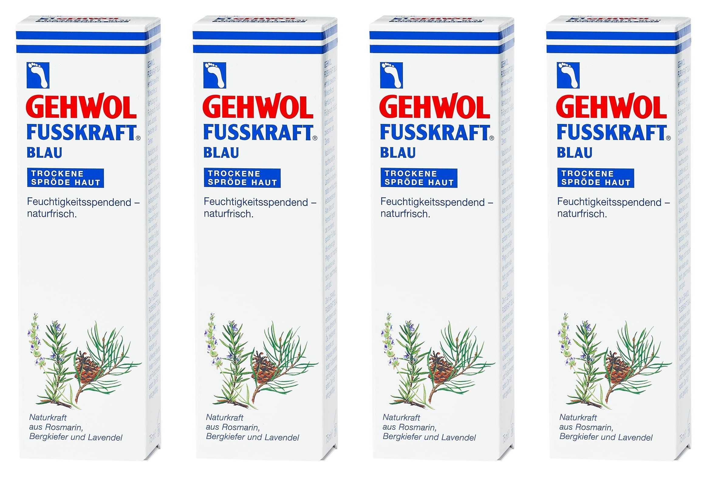 ✳️ 4x GEHWOL FUSSKRAFT BLAU 125 (500 ml)