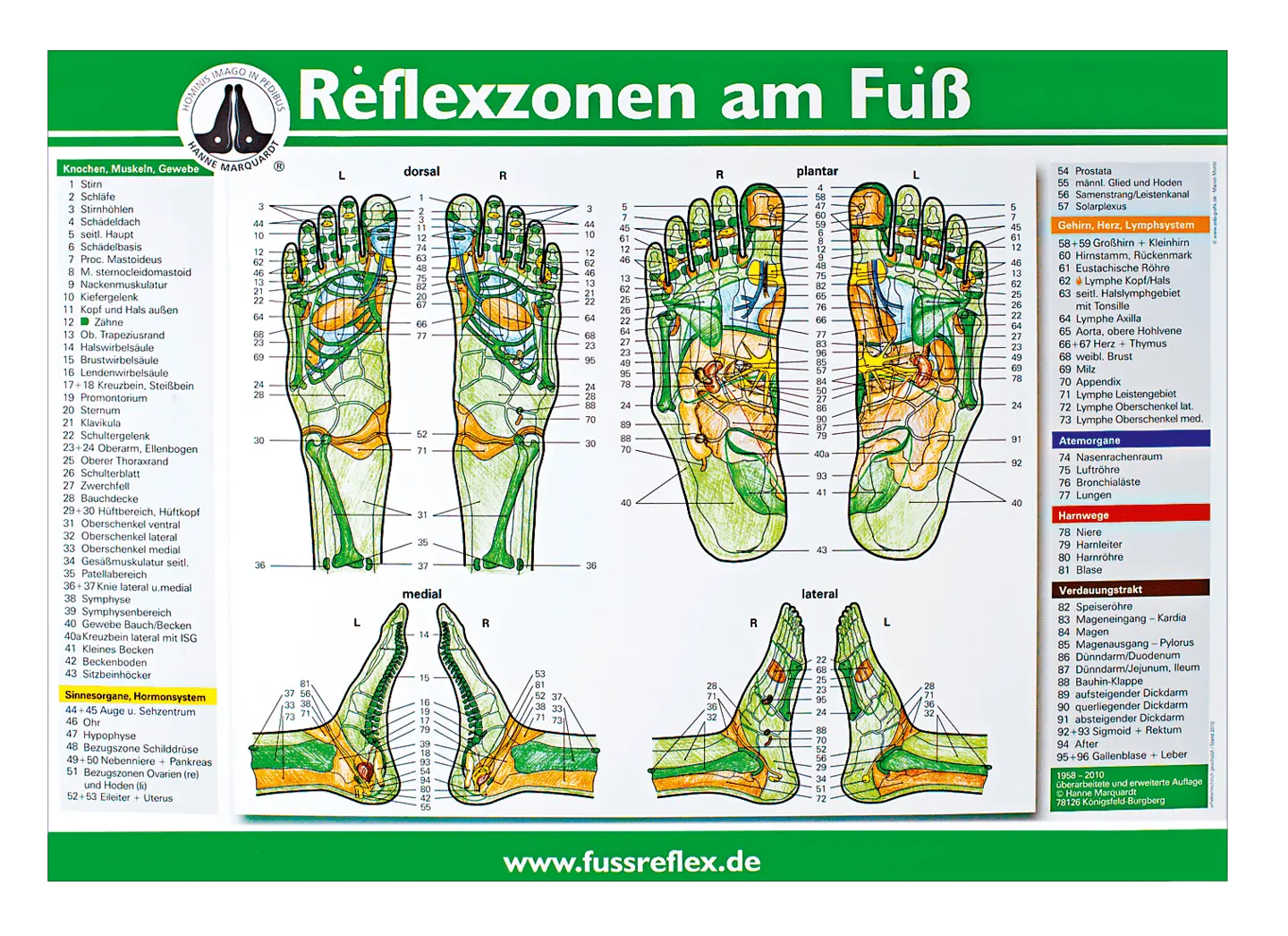 Lehrtafel Reflexzonen am Fuß nach Hanne Marquardt