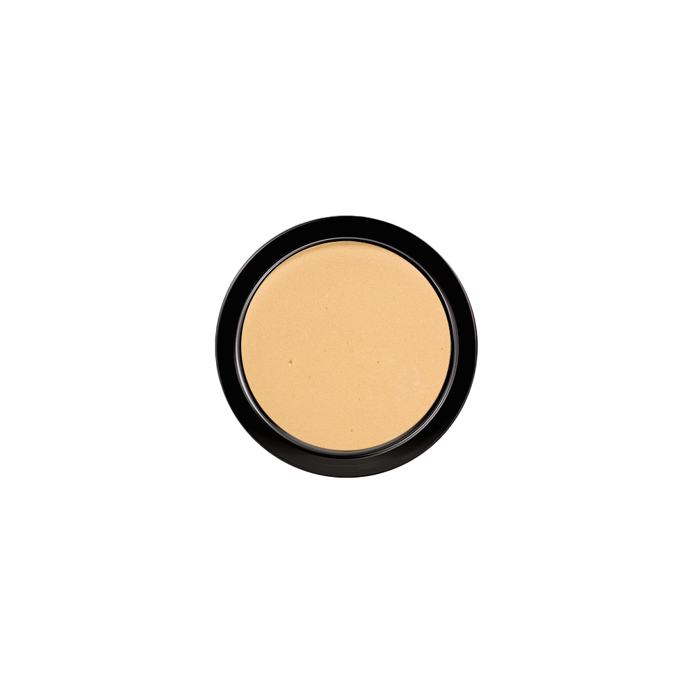 PAESE Illuminating Covering Powder 9 g warm beige 