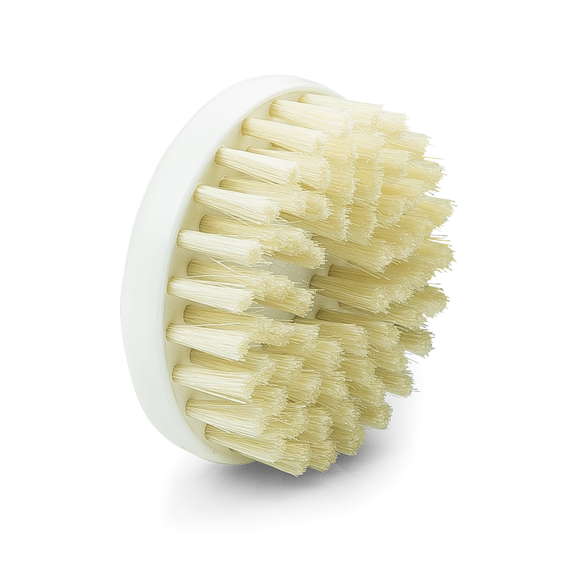 Bürste groß 6,5cm